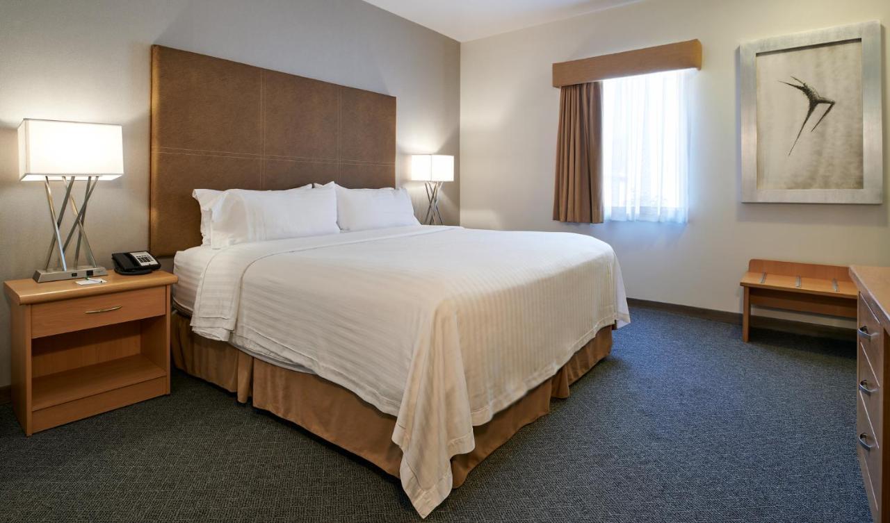 Holiday Inn Hotel & Suites Chihuahua By Ihg Екстер'єр фото